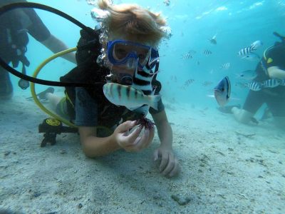 Discover Scuba Diving lagoon 1 open water dive