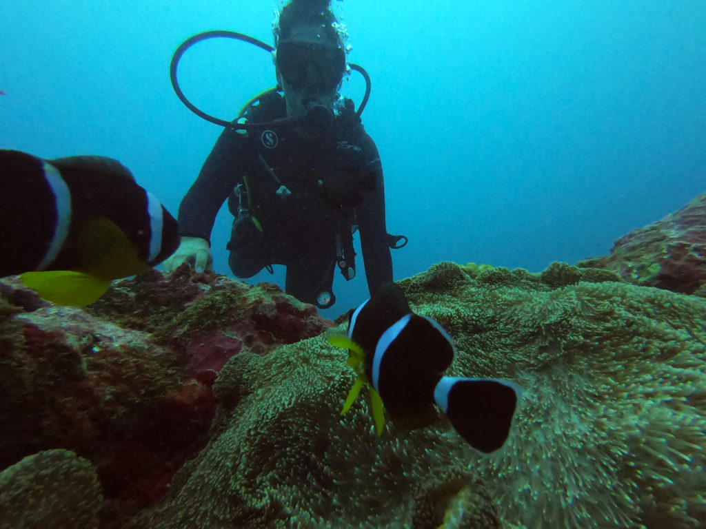 Scuba diver certification (All inclusive & 2 dives) Dive Passion Mauritius Dive, Experience